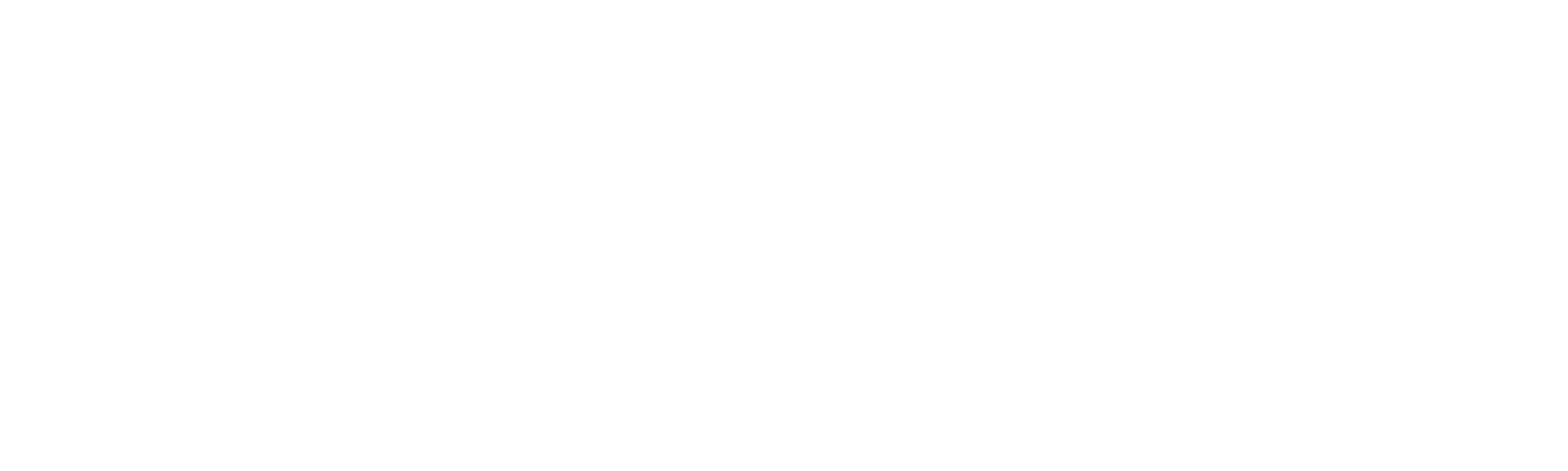 AAPA Small Logo